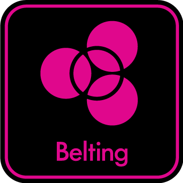 logo Belting